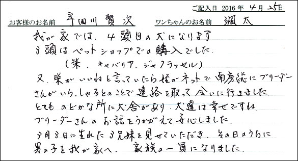 コッカーお客様の声
