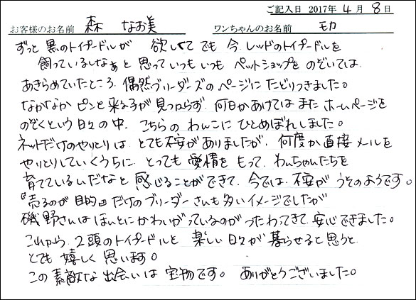 子犬お客様の声