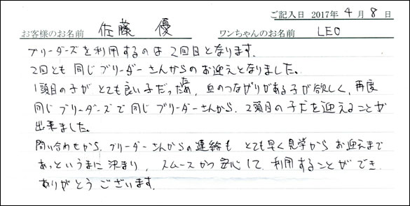 子犬お客様の声