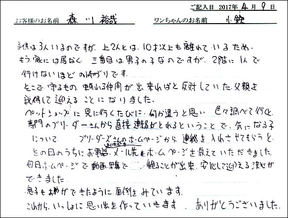 子犬お客様の声