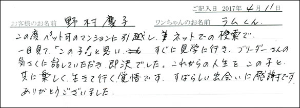 子犬お客様の声