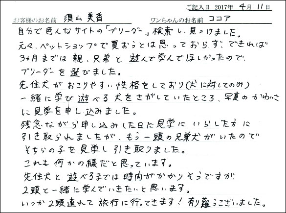 子犬お客様の声