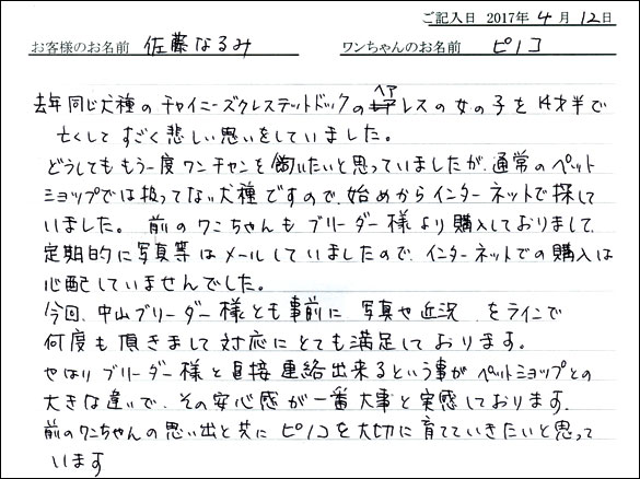 子犬お客様の声