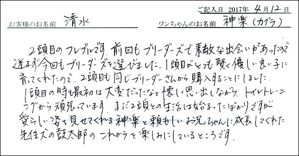 子犬お客様の声