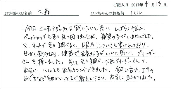 子犬お客様の声