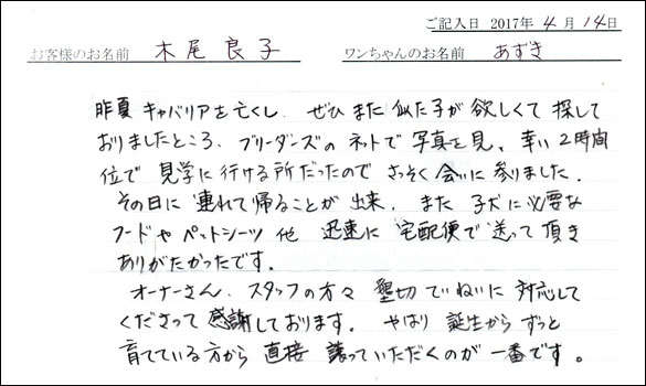子犬お客様の声