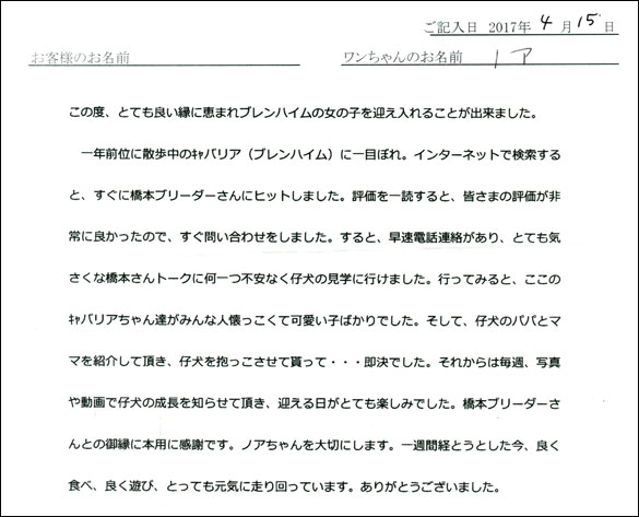 子犬お客様の声