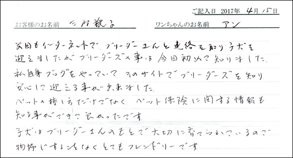 子犬お客様の声