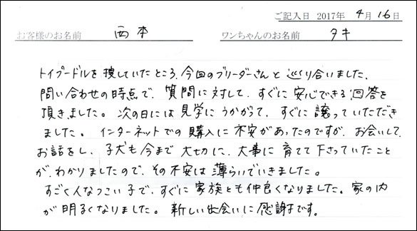 子犬お客様の声