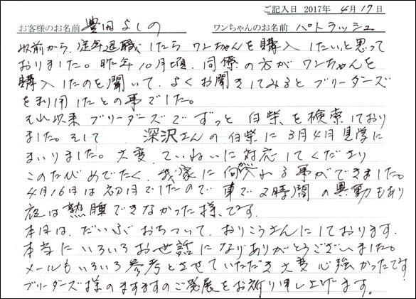 子犬お客様の声