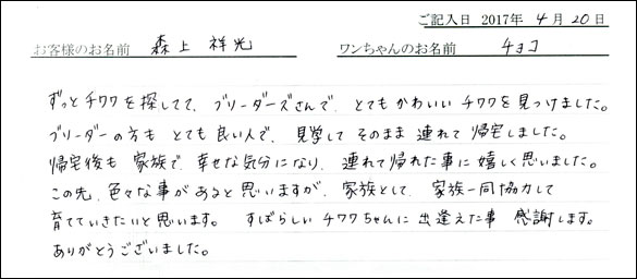 子犬お客様の声