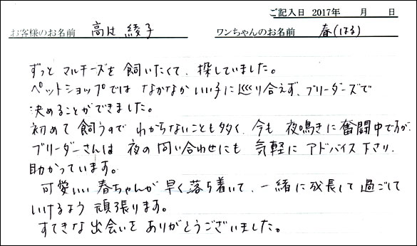 子犬お客様の声