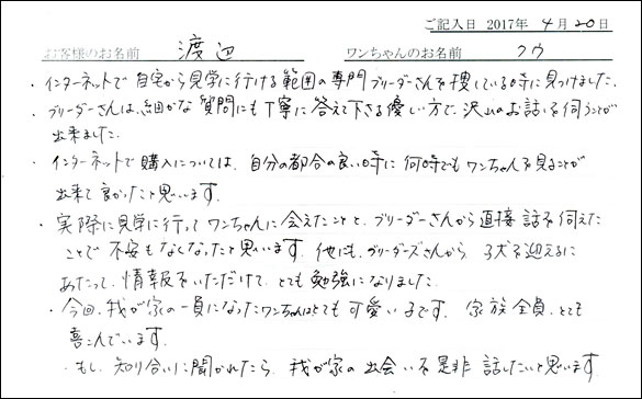 子犬お客様の声