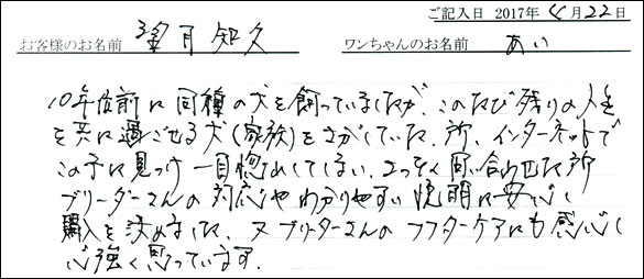 子犬お客様の声