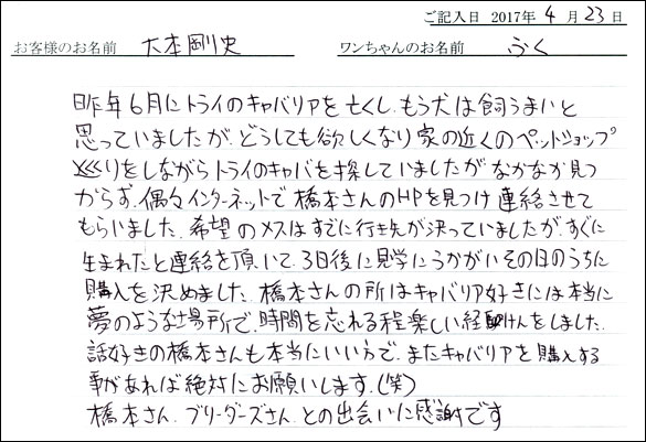 子犬お客様の声