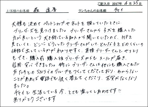 子犬お客様の声