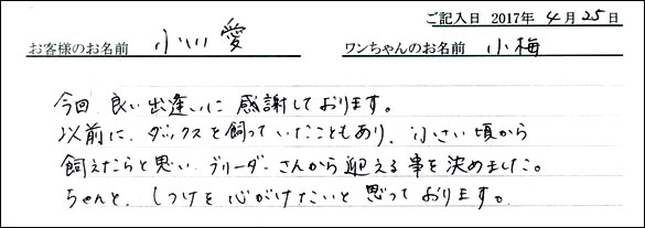 子犬お客様の声