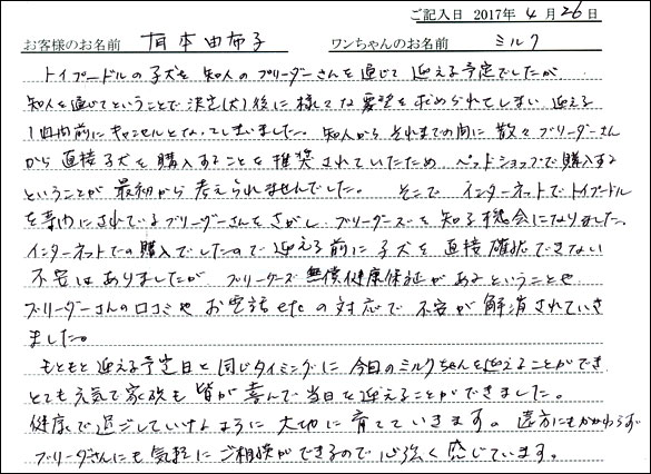 子犬お客様の声