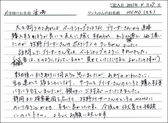 子犬お客様の声