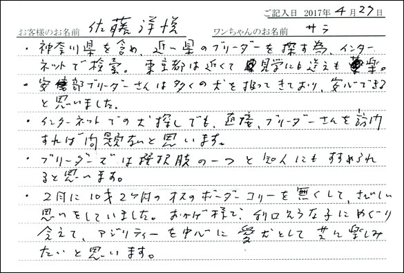 子犬お客様の声
