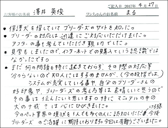 子犬お客様の声