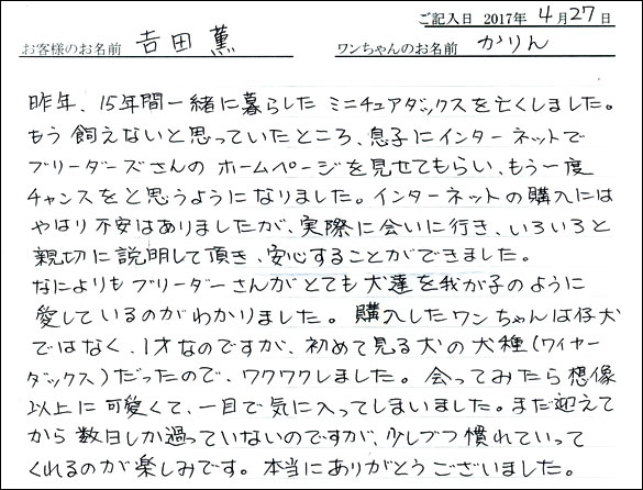 子犬お客様の声