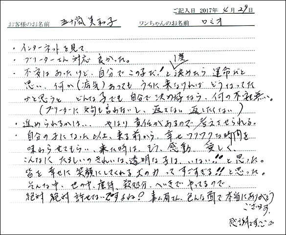子犬お客様の声