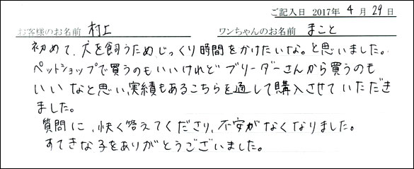 子犬お客様の声