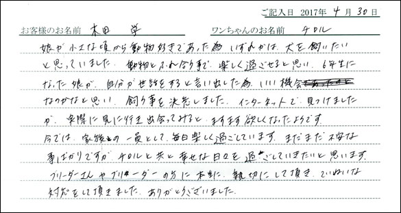子犬お客様の声