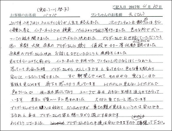 子犬お客様の声