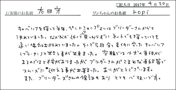 子犬お客様の声