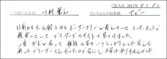 子犬お客様の声
