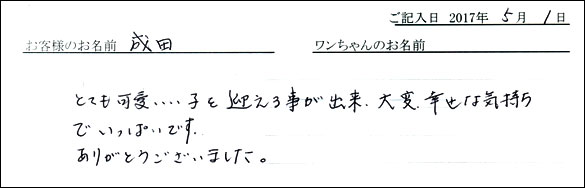子犬お客様の声
