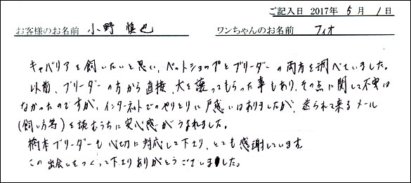 子犬お客様の声