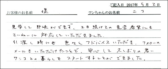 子犬お客様の声