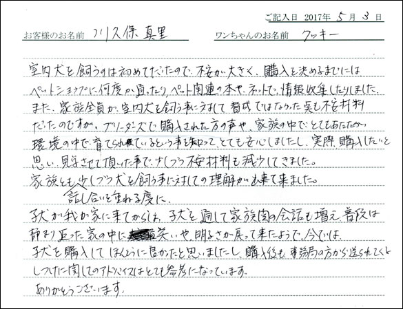 子犬お客様の声