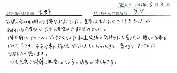 子犬お客様の声