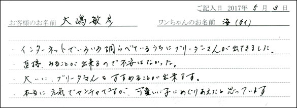 子犬お客様の声