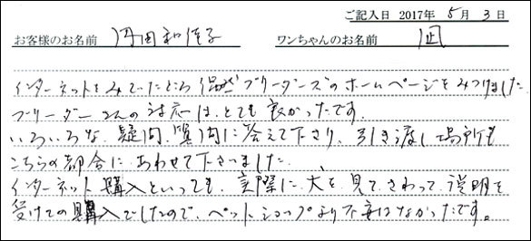 子犬お客様の声