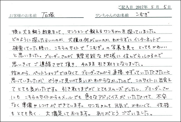 子犬お客様の声