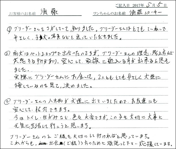 子犬お客様の声