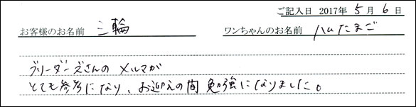 子犬お客様の声