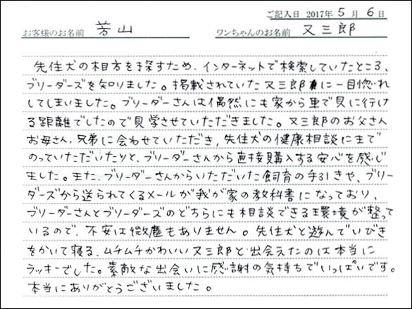 子犬お客様の声