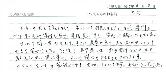 子犬お客様の声