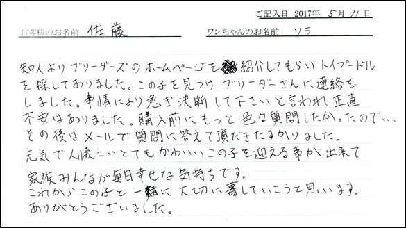 子犬お客様の声