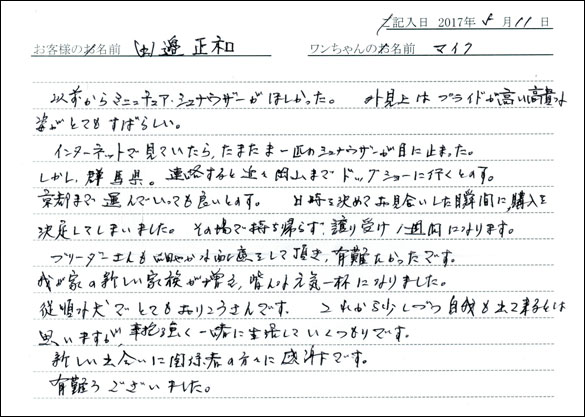 子犬お客様の声