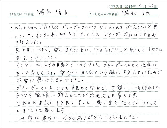 子犬お客様の声