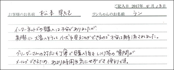 子犬お客様の声
