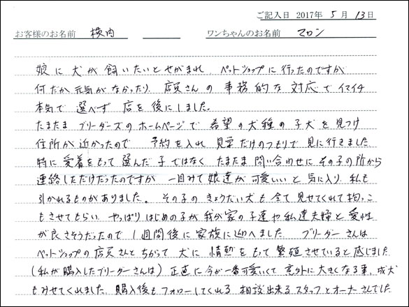 子犬お客様の声