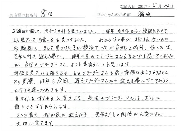 子犬お客様の声